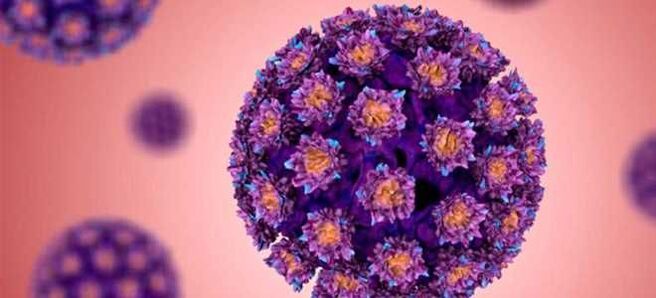 HPV – ihmisen papilloomavirus